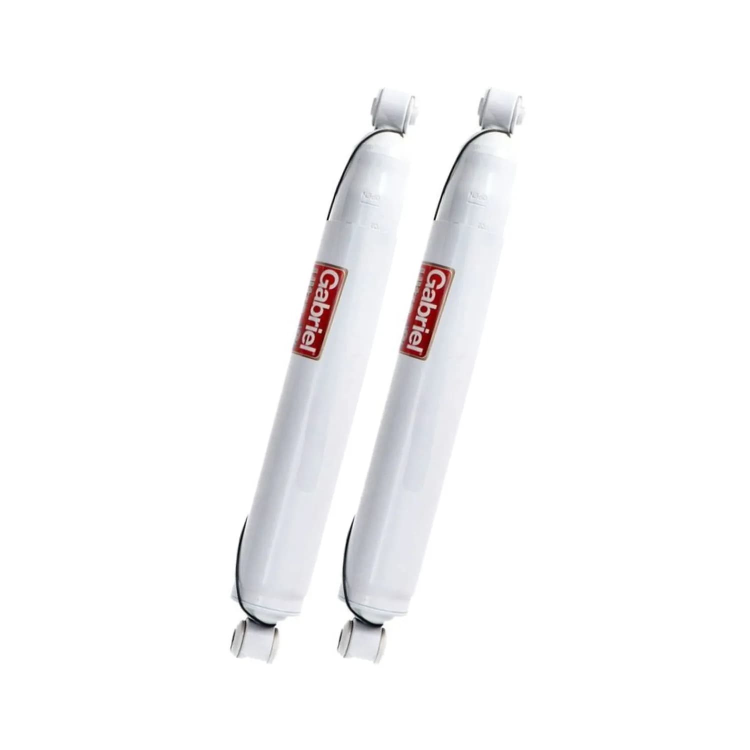 Tren delantero Traseros para Ford F250 Super Duty 4x2 1999 al 2005 - Gabriel